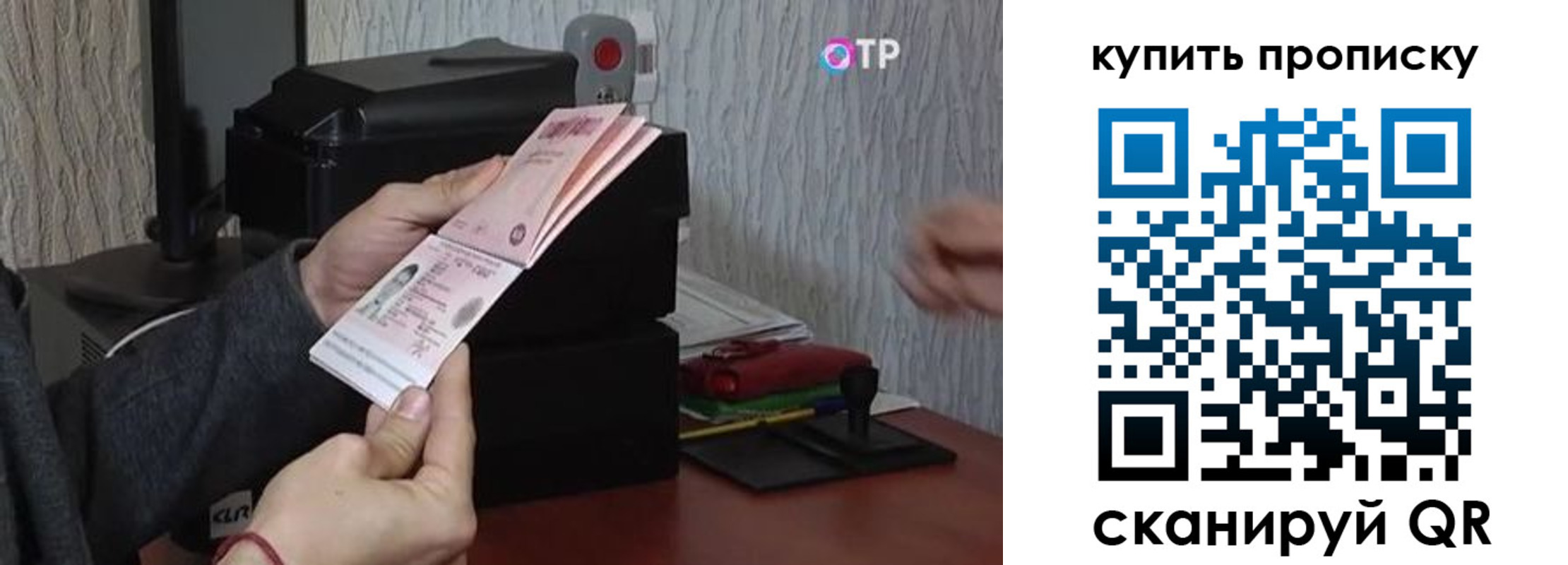 прописка гарантия в Ржеве